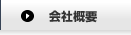 ЊTv